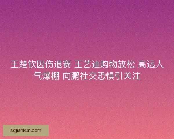 王楚钦因伤退赛 王艺迪购物放松 高远人气爆棚 向鹏社交恐惧引关注